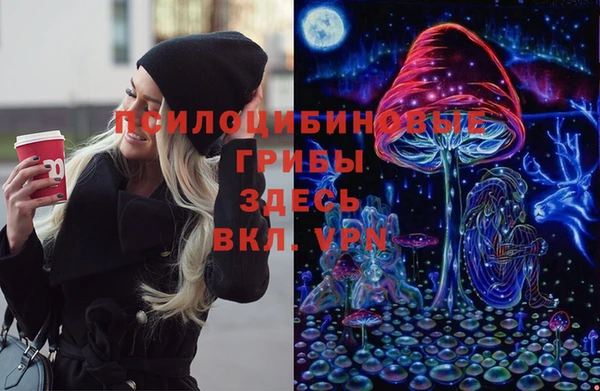 Альфа ПВП Алексин
