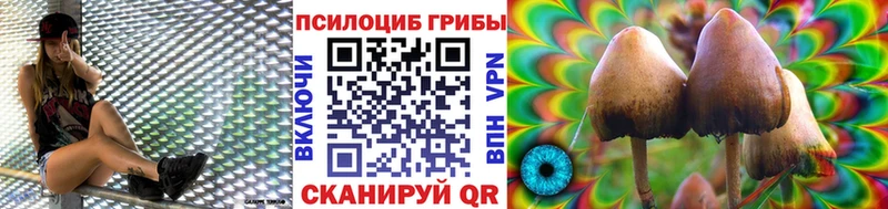 Галлюциногенные грибы MAGIC MUSHROOMS kraken маркетплейс Астрахань