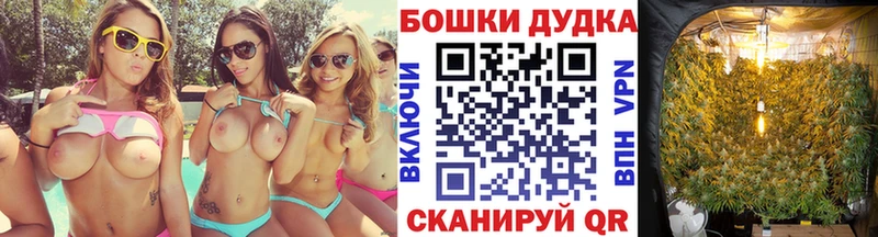 Конопля гибрид Астрахань
